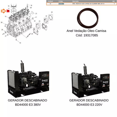 Anel de Vedação Óleo 19317085 P/ Gerador Big BD 44.000 E3
