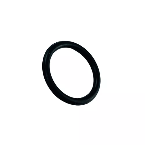 Anel O-ring do Bombeador P/ Pulverizador BPC 25 - 19316895