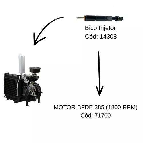 Bico Injetor para Motores BFDE 385 1800/3000 RPM Buffalo