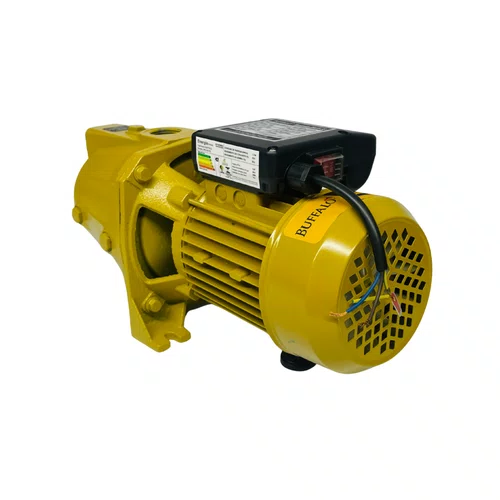 Bomba D' Água Auto Aspirante Bfa 55 1,0cv Monofásico 2 Polos