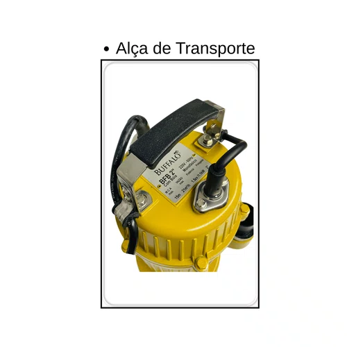 Bomba D'agua Submersa 2 Polegadas Com Boia BFBB 2 Buffalo