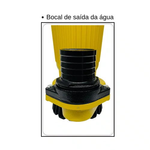 Bomba D'água Submersa 3 Polegadas Com Boia BFBB 3 Buffalo