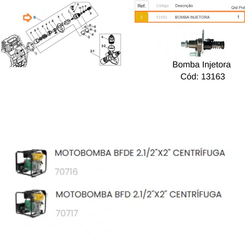 Bomba Injetora para Motobomba BFDE 2.1/2 Polegadas Buffalo