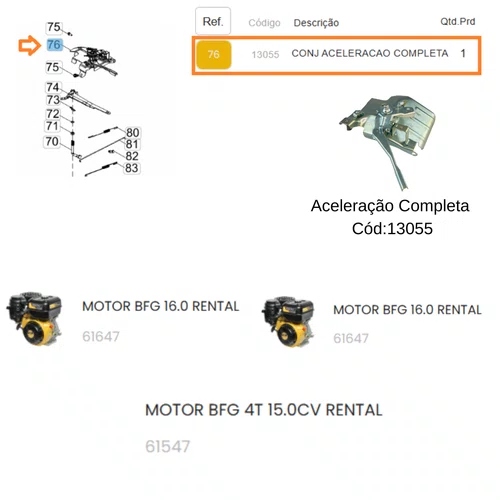 Conjunto Aceleração Completa Motor BFG 16.0hp Rental Buffalo