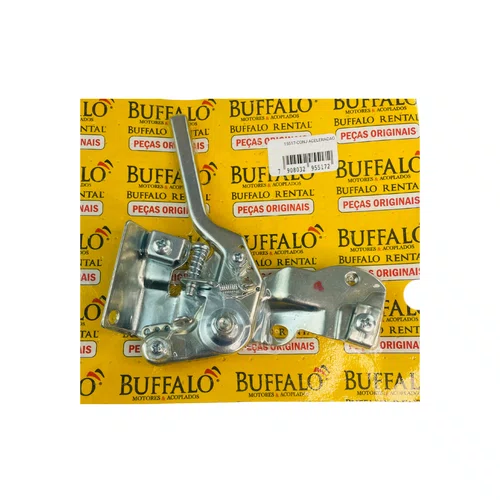 Conjunto Aceleração para Motor BFGE 7.5hp Rental Buffalo