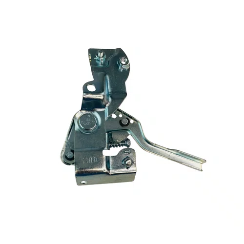 Conjunto Aceleração para Motor BFGE 7.5hp Rental Buffalo