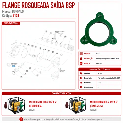 Flange Rosqueada Saída BSP 6133 P/ Motobomba BFG 2.1/2"X2"