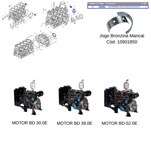 Jogo Bronzina Mancal P/ Motor Diesel 30.0hp Branco 10901850