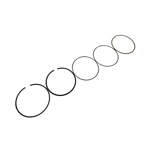 Jogo de Aneis do Pistão 1.0mm para Mtor Bfg15.0hp Buffalo