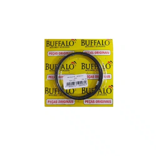 Jogo de Anéis para Motor Diesel 5.0 CV Buffalo Original