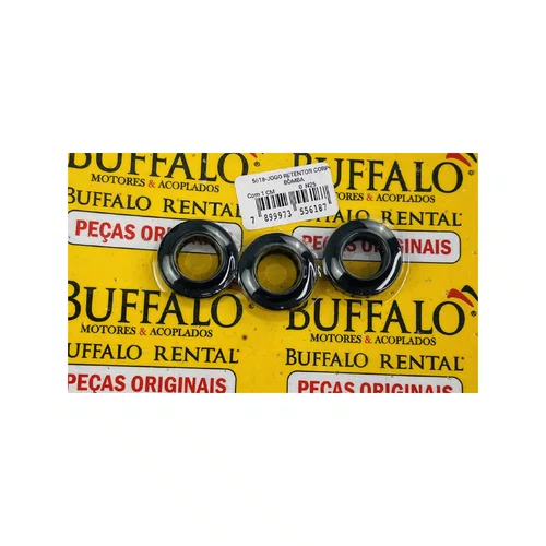 Jogo Retentores Motobomba Alta Pressão BFG 3000 Buffalo