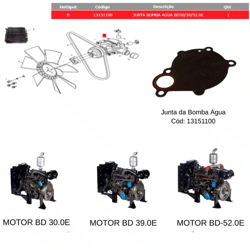Junta da Bomba Água 13151100 P/ Motor Diesel 30.0cv - Branco