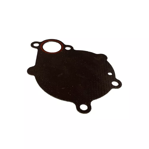 Junta da Bomba Água 13151100 P/ Motor Diesel 30.0cv - Branco