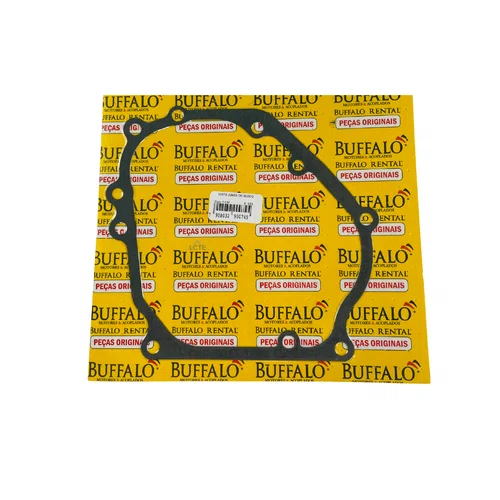 Junta do Bloco para Motor BFG 6.5hp Buffalo Original