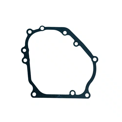 Junta do Bloco para Motor BFG 6.5hp Buffalo Original