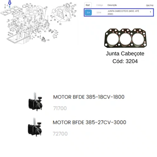 Junta Cabeçote para Motor BFDE 18CV/1800-27CV3000 Buffalo