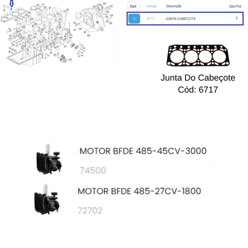 Junta do Cabeçote Motor BFDE 27CV/1800-45CV/3000 Buffalo