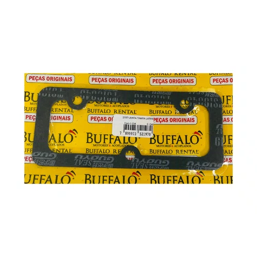 Junta Tampa Lateral1 para Motor BFDE480/485 Buffalo Original