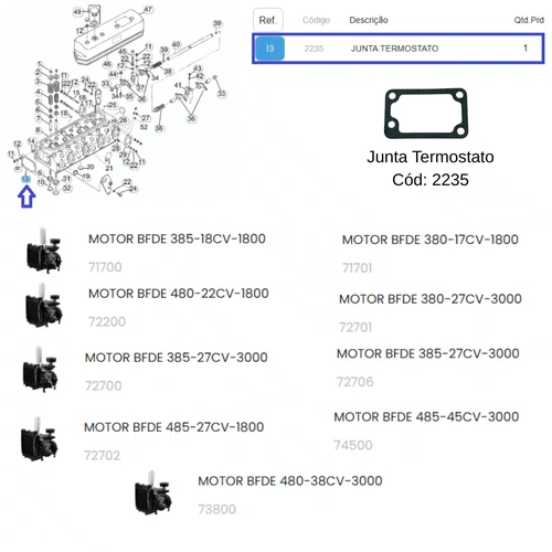 Junta Termostato para Motor BFDE 17/18/22/27/38/45CV Buffalo