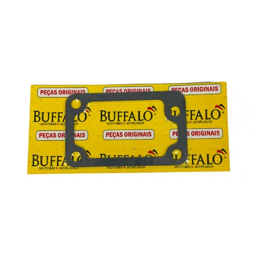Junta Termostato para Motor BFDE 17/18/22/27/38/45CV Buffalo