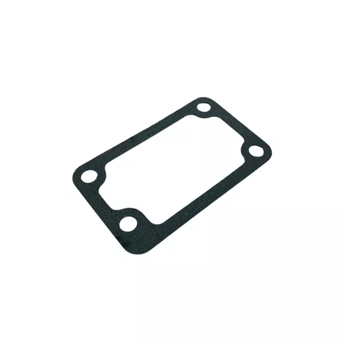 Junta Termostato para Motor BFDE 17/18/22/27/38/45CV Buffalo
