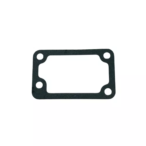 Junta Termostato para Motor BFDE 17/18/22/27/38/45CV Buffalo