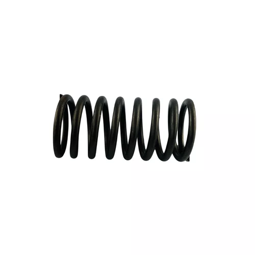 Mola Válvula Interna P/ Motor Diesel 30.0hp Branco 10815962