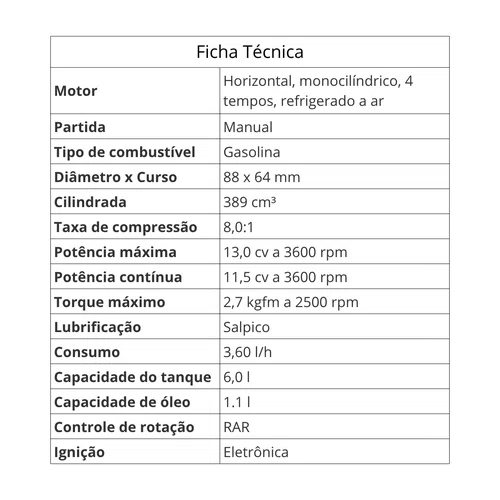 Motor A Gasolina B4T-13.0H Part. Manual 13CV Branco Original