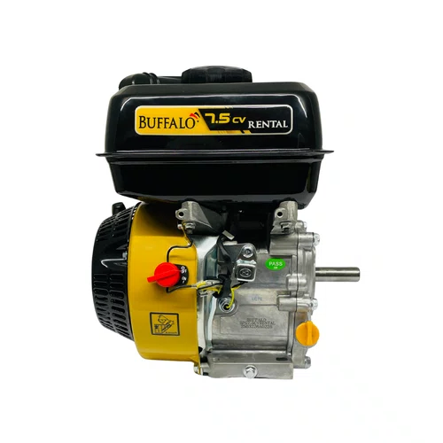Motor á Gasolina BFG 4T 7.5hp Rental Partida Manual Buffalo
