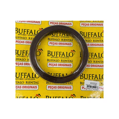 Retentor 80X100X12 para Motor BFDE385-1800/3000RPM Buffalo