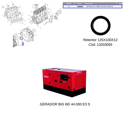 Retentor FLG Virabrequim Gerador BD 4400 E3 Branco Original