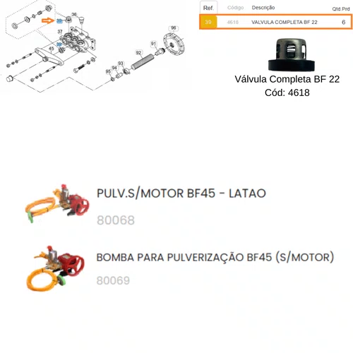 Válvula Completa da Bomba p/ Pulverização BF22 Buffalo 4618