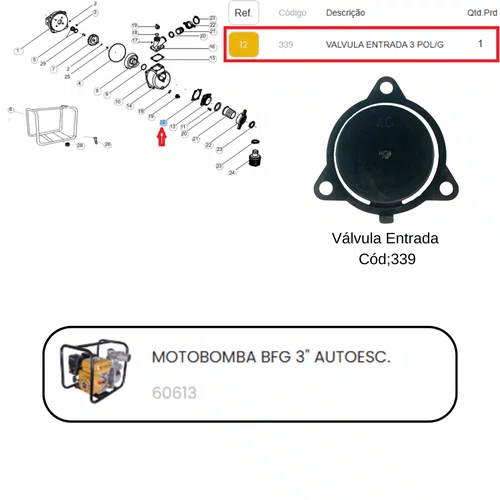 Válvula Entrada Motobomba 3 Polegadas/G Buffalo Original