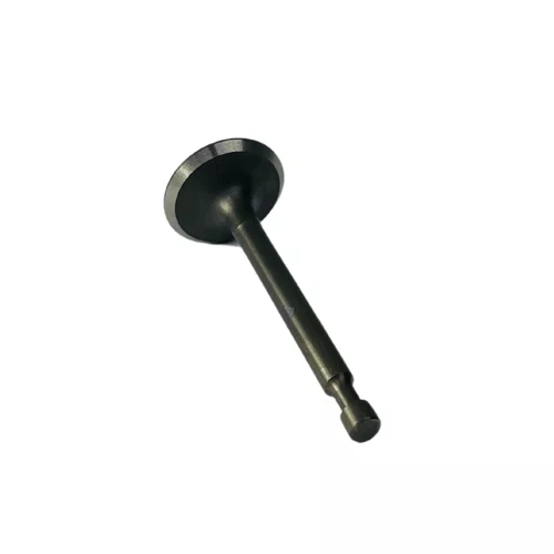 Válvula Escape para Motor BFG(E) 5.5/6.5/7.0hp Buffalo 471