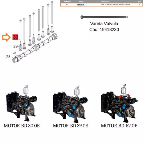 Vareta Válvula para Motor BD/Gerador BIG-BD 220/380V Branco