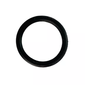 Anel O-RING 23.6X3.55 do Bujão Motobomba 2/3 S Buffalo 10638