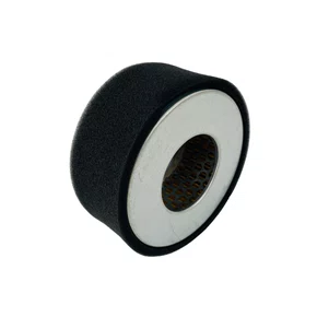 Elemento Filtro de Ar do Motor BD 5.0/7.0hp Branco Original