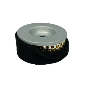 Filtro de Ar para motores Diesel 5.0/7.0 Buffalo Original