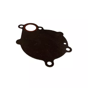Junta da Bomba Água 13151100 P/ Motor Diesel 30.0cv - Branco
