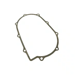 Junta da Embreagem do Motor 6.5cv Buffalo Original