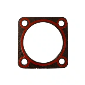 Junta da Tampa Termostato 13151040 Motor BD 30.0cv - Branco