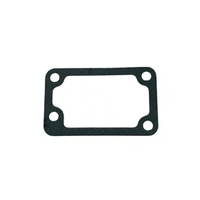 Junta Termostato para Motor BFDE 17/18/22/27/38/45CV Buffalo