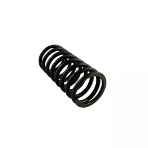 Mola Válvula Interna P/ Motor Diesel 30.0hp Branco 10815962