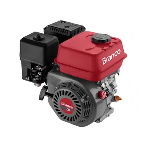 Motor Partida Manual sem Alerta de Óleo B4T 7.0H Branco