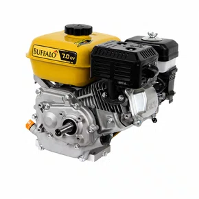 Motor BFG 7.0 (REDUTOR 2:1) Buffalo Original