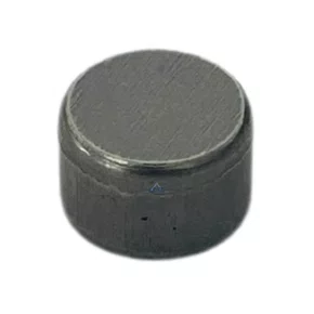 Pastilha Válvula para Motor Branco B4T 13.0/15.0HP Original