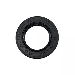 Retentor 25X41X6mm do Motor BFG 7.0cv Master Buffalo - 2470
