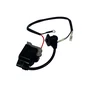 Bobina de Ignição para Roçadeira 4T BFS37 Buffalo Original