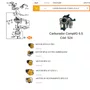 Carburador Completo para Motor Estacionário 6.5HP Buffalo