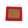 Elemento Filtro de Ar para Motor BFG 4.0cv Buffalo Original
